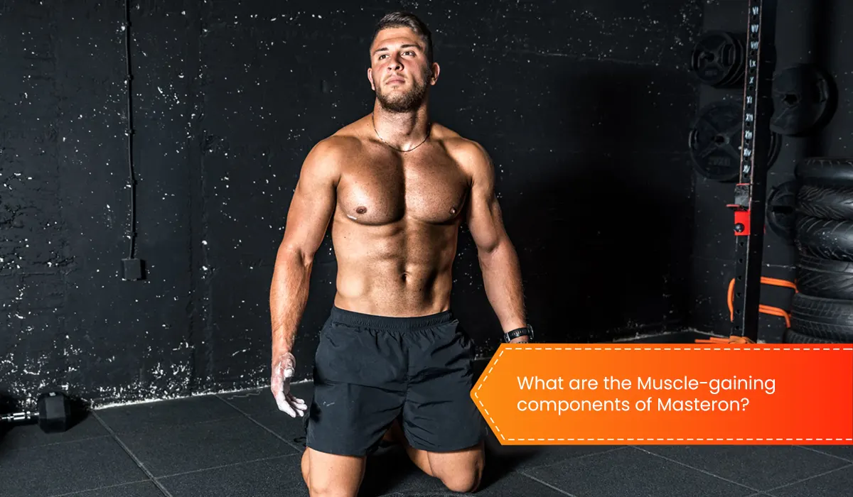 What are the Muscle-gaining components of Masteron?